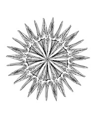 Obraz premium christmas star decoration