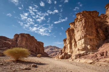 Fototapeta premium Discover Timna Park, a natural wonder in Israel's nature reserve. Explore its stunning landscape and unique rock formations from the Jurassic period. Plus, enjoy fun activities for all ... 