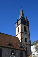 Fototapeta premium Pfarrkirche St. Peter und Paul in Gemünden am Main