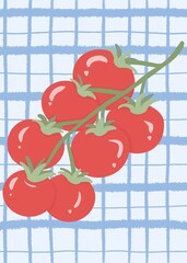 Illustration of a ripe red tomato against a hand-drawn light blue and white plaid background. This seamless pattern makes it versatile for use in backgrounds, textiles, packaging, and more.