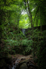 idyllischer Wasserfall im Wald 