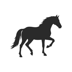 Obraz premium Silhouette of a graceful walking horse on a white background