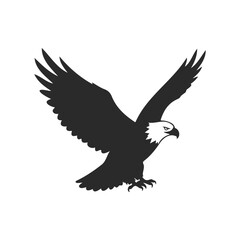 Silhouette of a soaring bald eagle with outstretched wings on white background