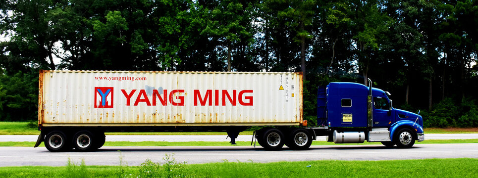 Yang Ming
