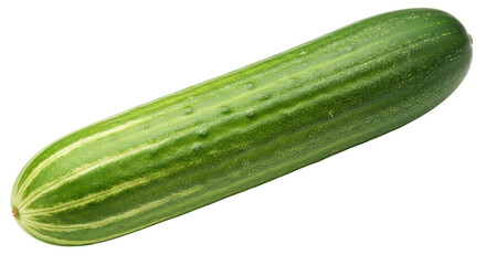 Isolated Fresh Cucumber