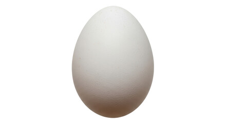 Isolated Egg