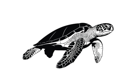 Fototapeta premium Detailed turtle illustration, showcasing intricate shell patterns and flipper details, perfect for educational materials and nature-themed designs