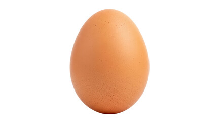 Isolated Chicken egg