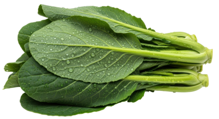 Isolated Fresh Green Kai-lan