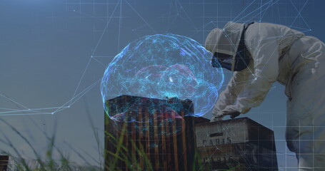 Inspecting male beekeeper lifting hive frames in grassy field, with brain hologram, copy space