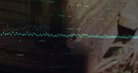 Displaying green data points overlaying weathered wooden beam in garden, with dry leaves and twigs