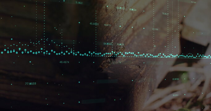Displaying green data points overlaying weathered wooden beam in garden, with dry leaves and twigs