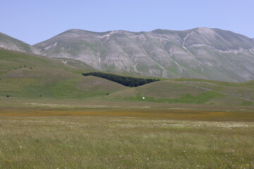 mountain landscape in the mountains