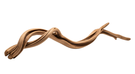 Curly and Twisted Driftwood Log on a Transparent Background