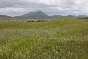 Fototapeta premium mountain landscape with clouds