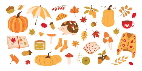Autumn cozy elements set. Cute fall collection with sweater, hedgehog, pumpkins, leaves, cup, candle, mushrooms, socks, book and yarn. Vector illustration with warm seasonal vibes.