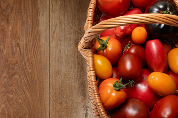 A wicker basket filled with colorful fresh tomatoes on a wooden background. A variety of types of tomatoes, including red, yellow, orange