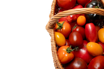 Wicker basket filled with colorful fresh tomatoes on a white background. A variety of tomato types including red, yellow, orange.