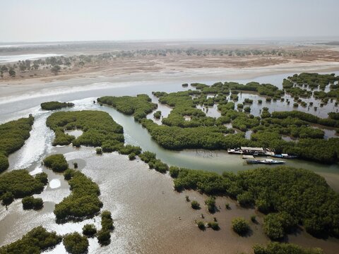 Vue a&eacute;rienne du Sine Saloum avec des mangroves- S&eacute;n&eacute;gal 