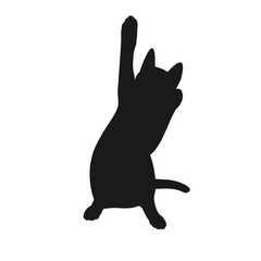 black cat silhouette