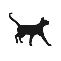 black cat silhouette