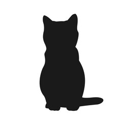 black cat on white background
