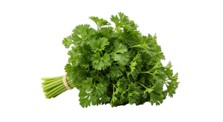 Fresh curly parsley bunch isolated on transparent background, a vibrant green herb with aromatic leaves, perfect for culinary use, adding flavor and freshness to dishes