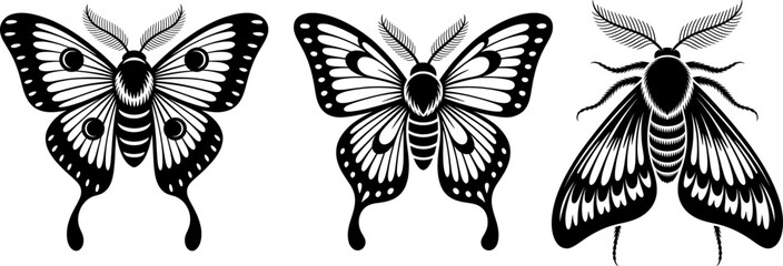 Spectral moth silhouette with tattered wings and lunar gothic details in tattoo-style vector on pure white background, featuring bold black symmetry, smooth lines, and intricate ornamental design