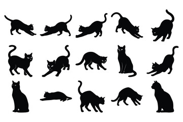 silhouettes of cat
