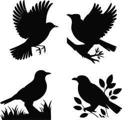 Obraz premium Set of bird silhouettes vector illustration showing flying birds with spread wings