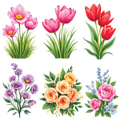 Colorful Floral Arrangement Vector Set – Cosmos, Tulips, Roses, and Mixed Blooms with Green Leaves in Decorative Style