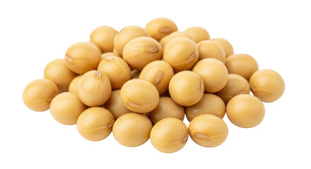 Isolated Pile of Soybeans