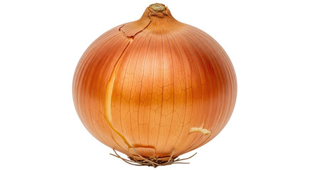 Isolated Onion