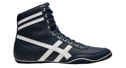 Isolated Wrestling Shoe