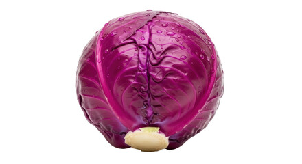 Isolated Red Cabbage