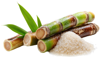 Sugarcane stalks and granulated sugar