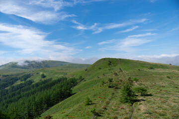 爽やかな朝の高原　霧ヶ峰