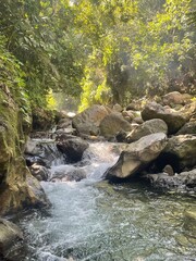 Clear mountain stream flowing over rocks through a lush tropical forest — a serene nature scene ideal for outdoor and travel content.