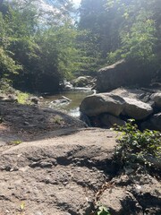 Shallow forest stream winding through rocks and greenery under soft sunlight — a tranquil nature scene perfect for outdoor and travel themes.