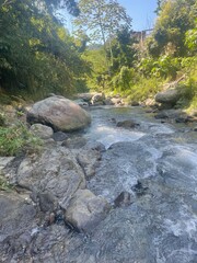 Clear water flowing over rocks in a serene forest stream surrounded by green trees and sunlight.


