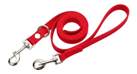 Isolated Dog leash