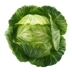 Green cabbage top view isolated