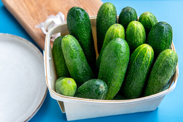 Freshly harvested cucumbers in wooden basket. on blue background.