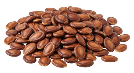 Isolated Watermelon Seeds