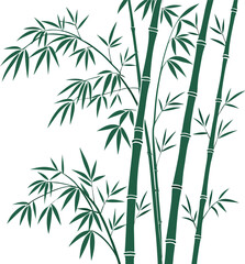 bamboo vector illustration on white background 