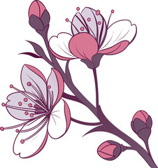 vector illustration of flower on white background 