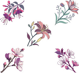 vector illustration of flower on white background 