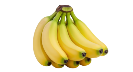 Isolated Bunch of Baby Bananas