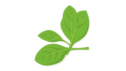 Obraz premium Fresh Green Leaves A Vibrant and Healthy Botanical Illustration for Design