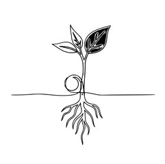 hand drawn vector illustration of a plant